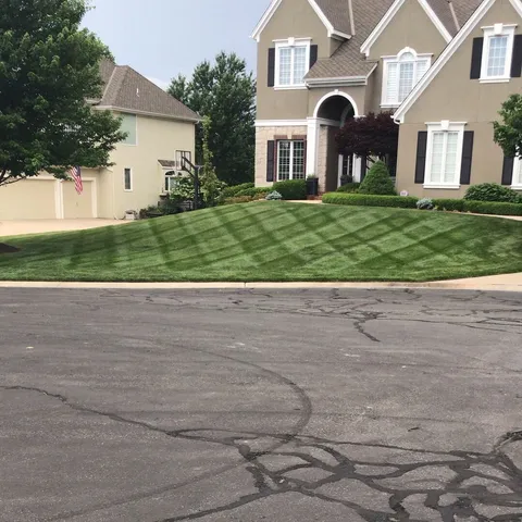 Professional lawn striping